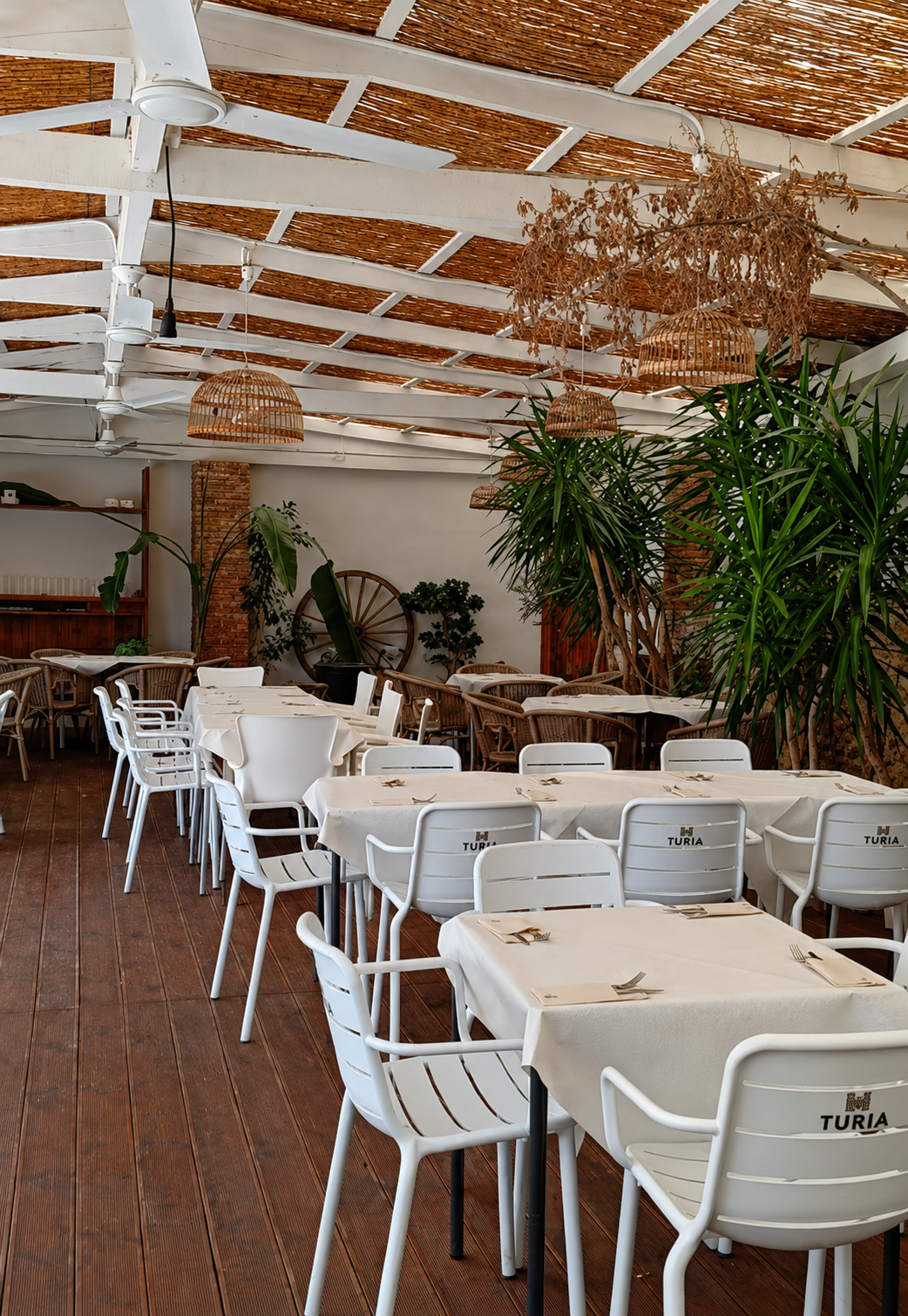 Terraza con plantas, vigas blancas y lámparas de mimbre